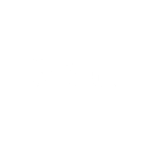 bazarboston